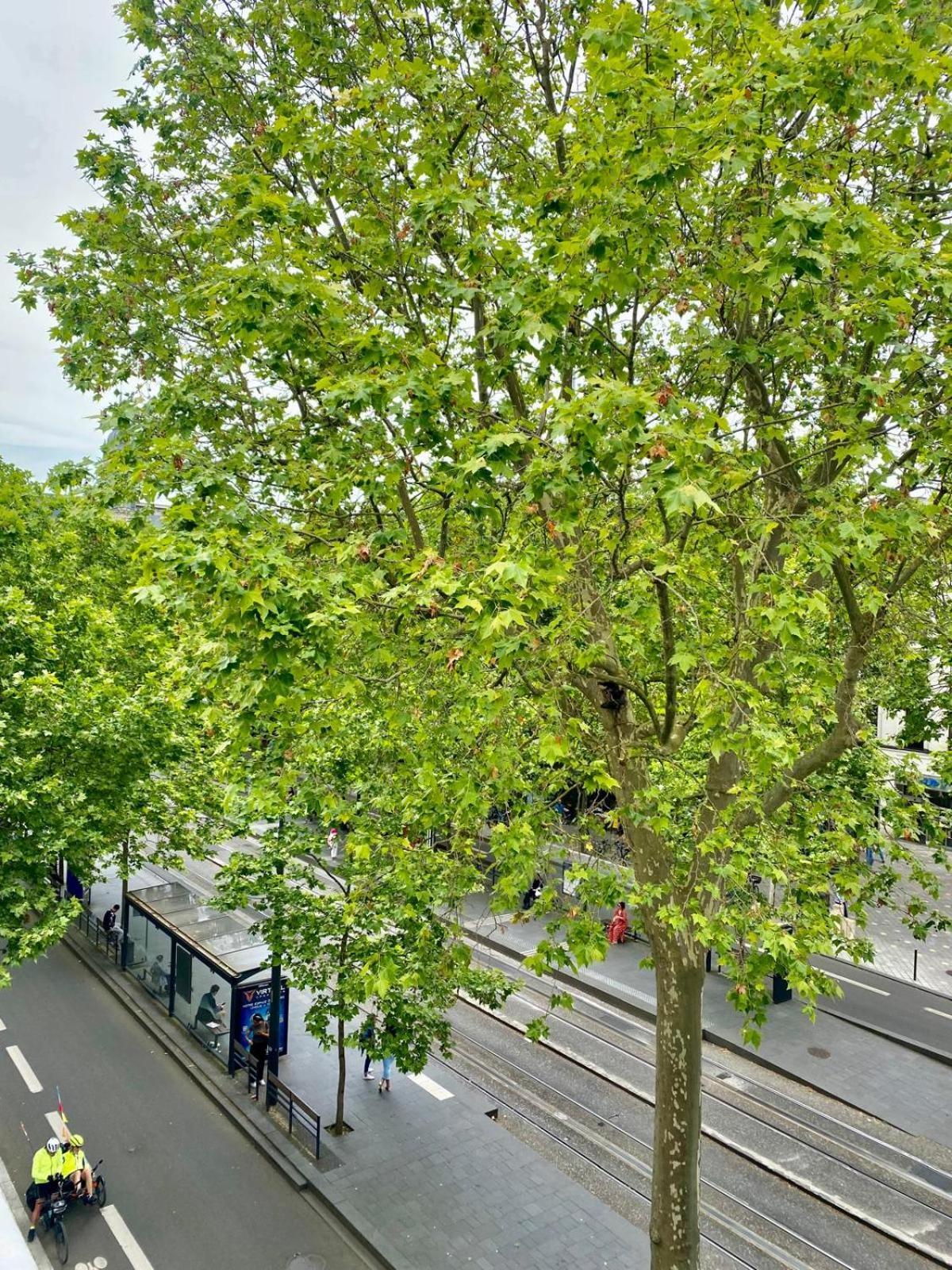 Logement Hyper Centre Jean-Jaures Apartman Tours Kültér fotó